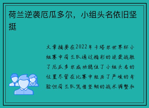 荷兰逆袭厄瓜多尔,小组头名依旧坚挺