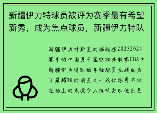 新疆伊力特球员被评为赛季最有希望新秀,成为焦点球员,新疆伊力特队员名单照片