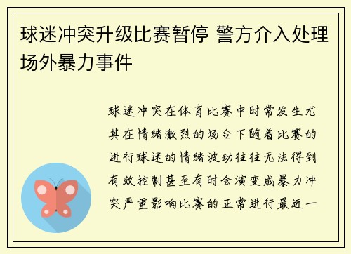 球迷冲突升级比赛暂停 警方介入处理场外暴力事件